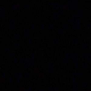 Meet your Posher, Lilly